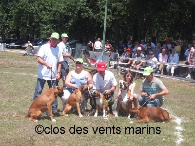 du Clos des vents marins - Nationale d' élevage a Cestas