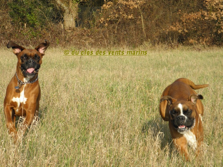 une vie de bobox