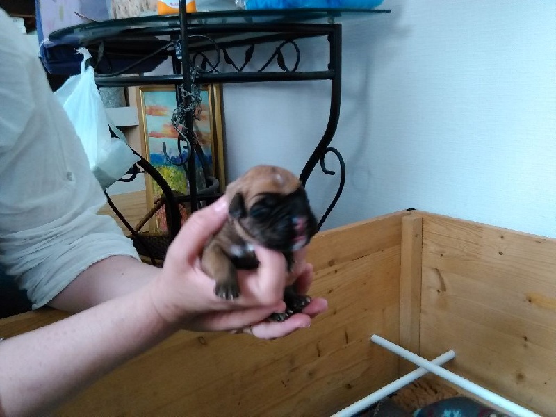 Judy la fille de ginka et duke (2014)